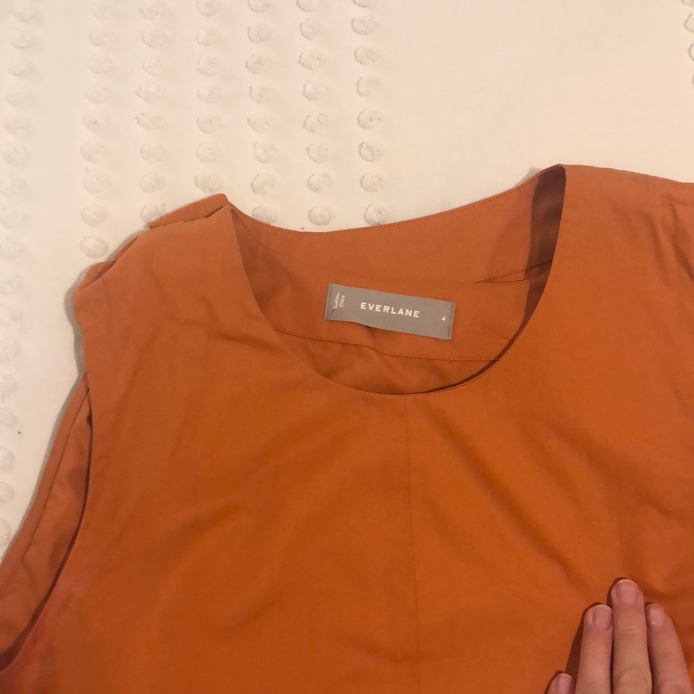 Everlane shirt